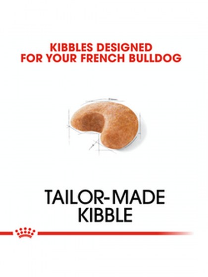 BHN FRENCH BULLDOG 3K_web3